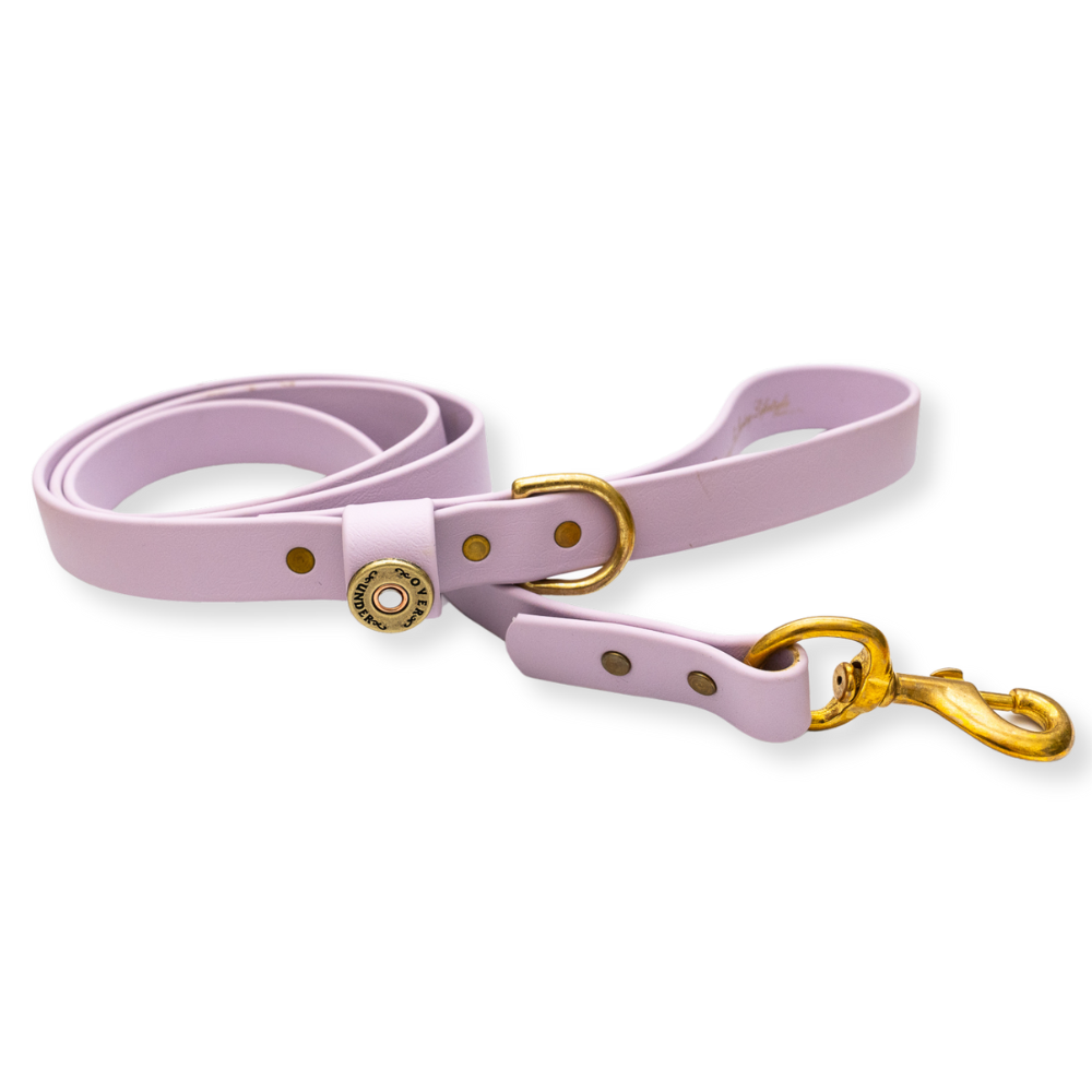 Water Dog Leash Lavender