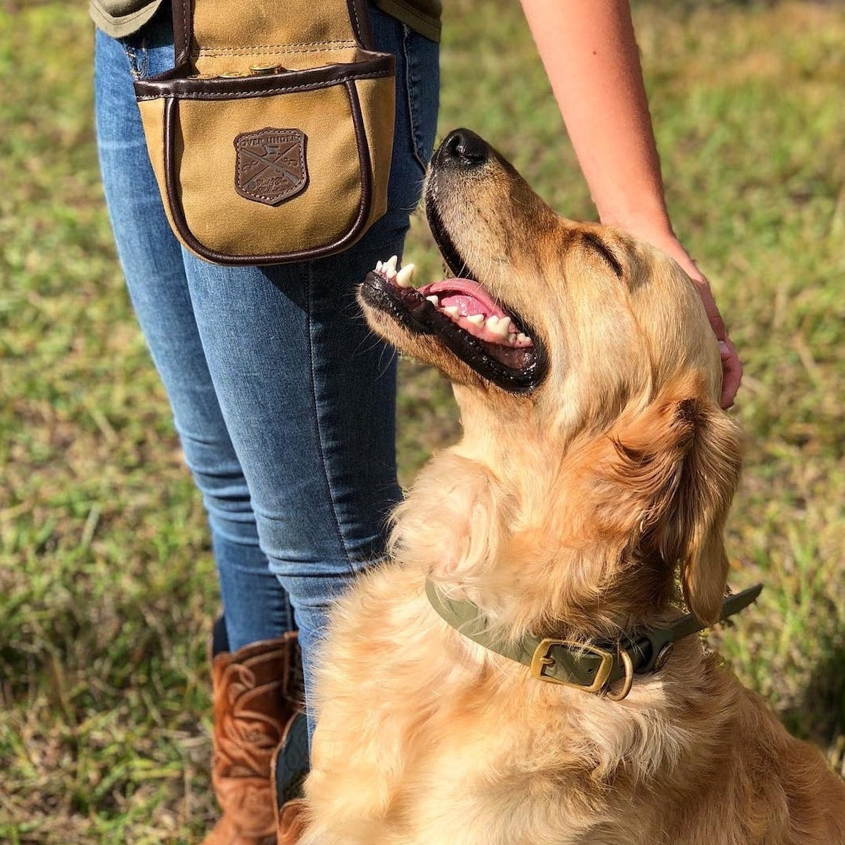 Water Dog Collar Olive