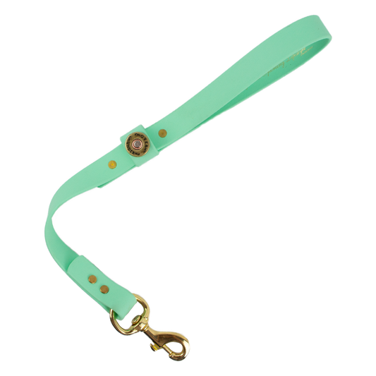 Water Dog Traffic Lead Mint