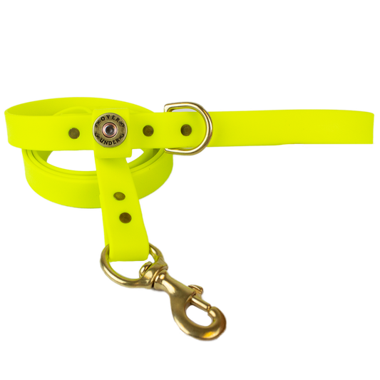 Water Dog Leash Safety Yellow