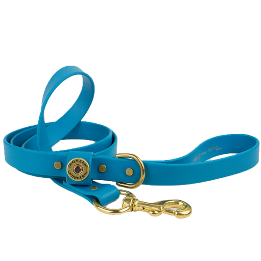 Water Dog Leash Aqua Blue - Over Under Clothing