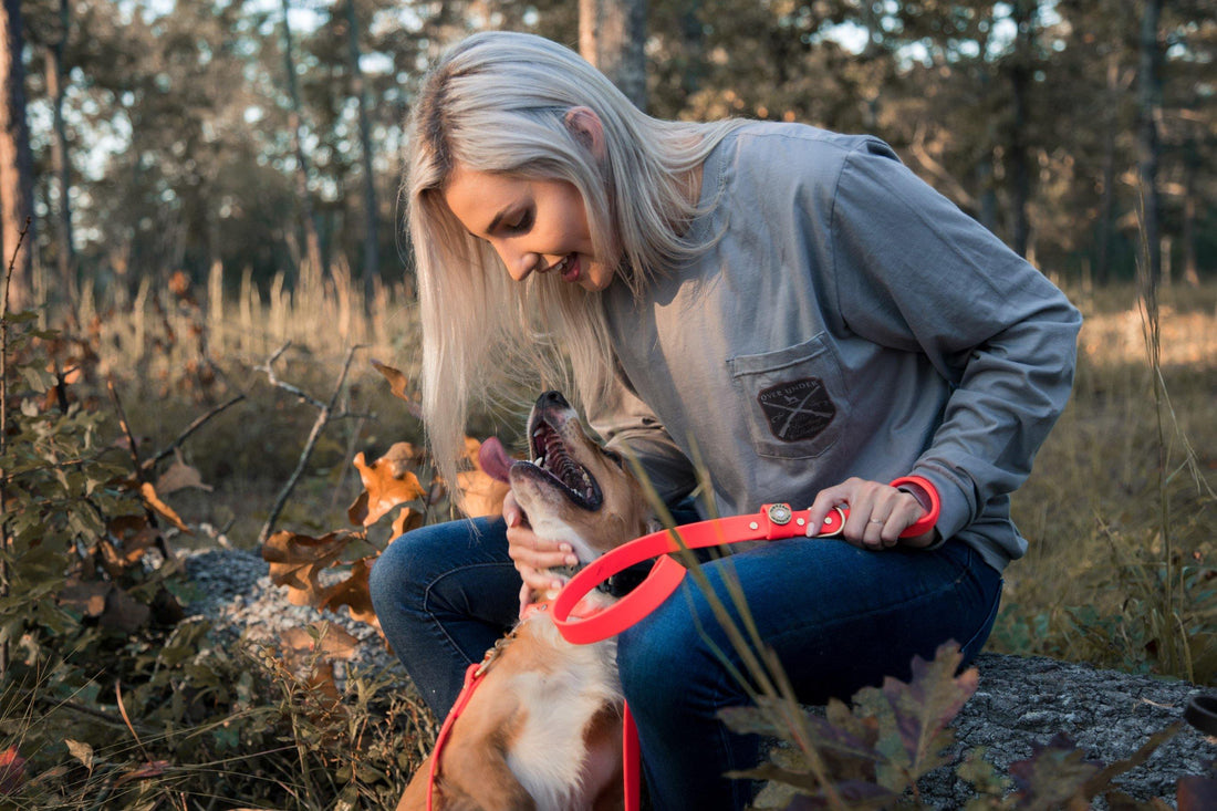 Want a Canine Hunting Companion? 3 Tips for Training Rescue Dogs - Over Under Clothing