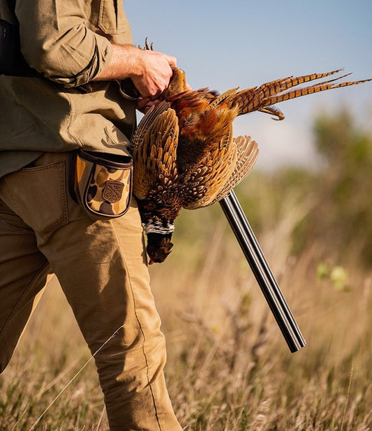 Common Upland Game Birds of North America