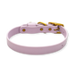 Water Dog Collar Lavender