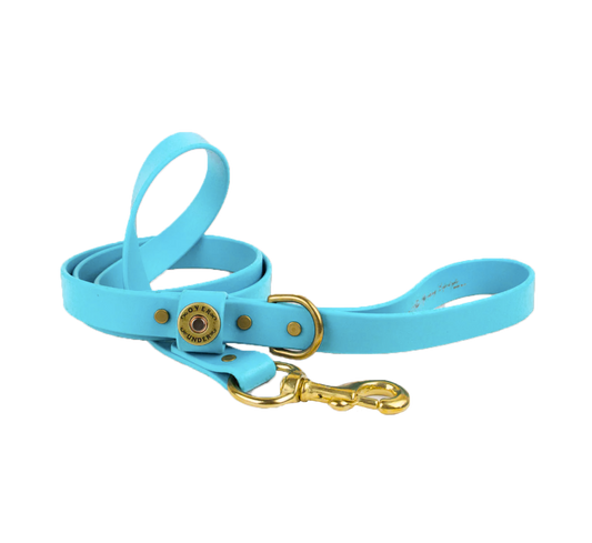 Water Dog Leash Atlantic Blue
