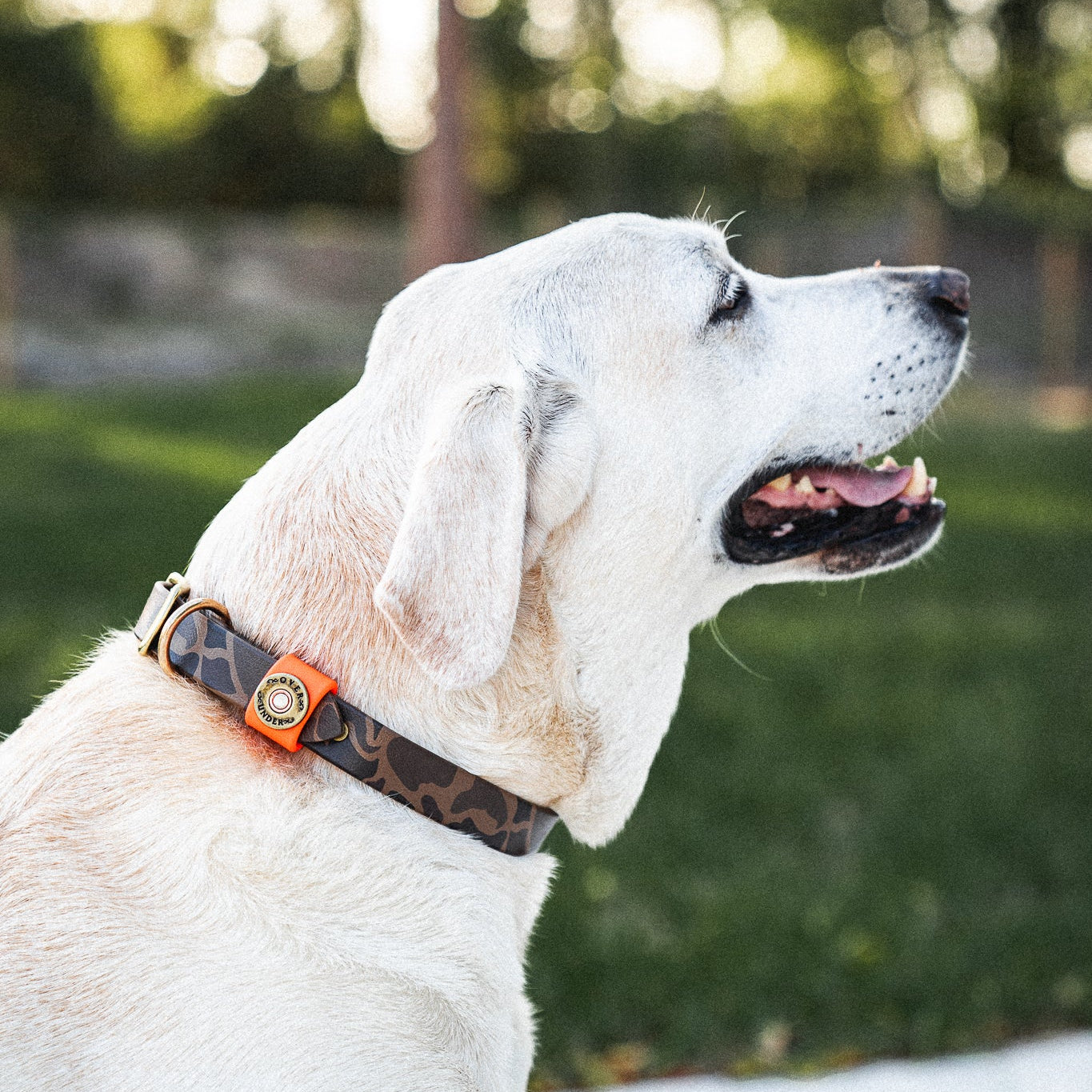 Water Dog Collar Duck Camo/Orange Keeper