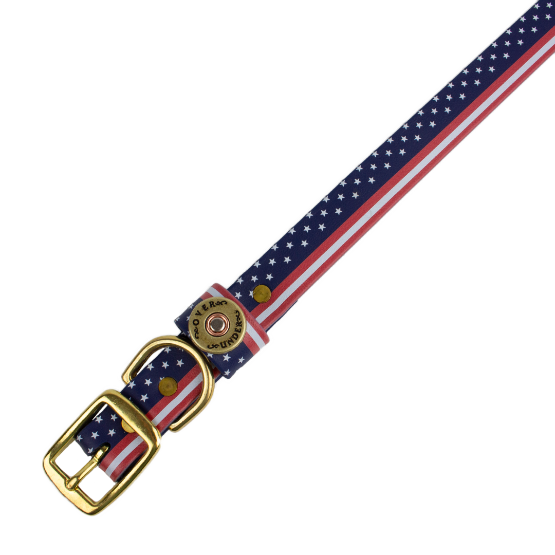 Patriot Water Dog Collar