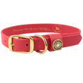 Waterproof Dog Collar Red - Water Dog Collar | Over Under – Over Under ...