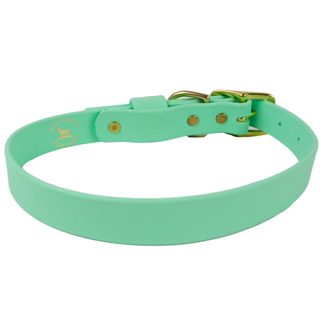 Water Dog Collar Mint