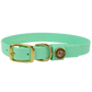 Water Dog Collar Mint