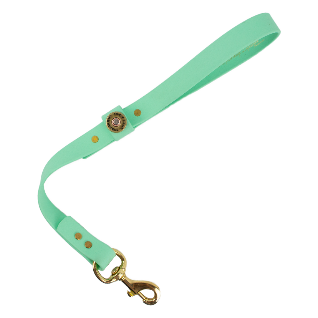 Water Dog Traffic Lead Mint