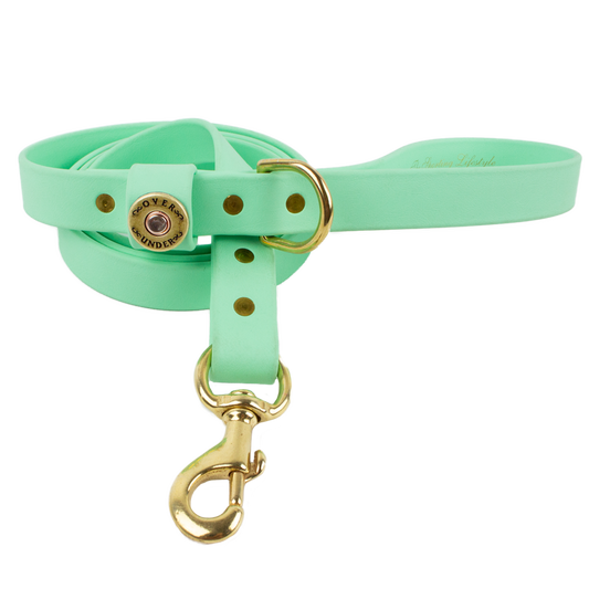 Water Dog Leash Mint