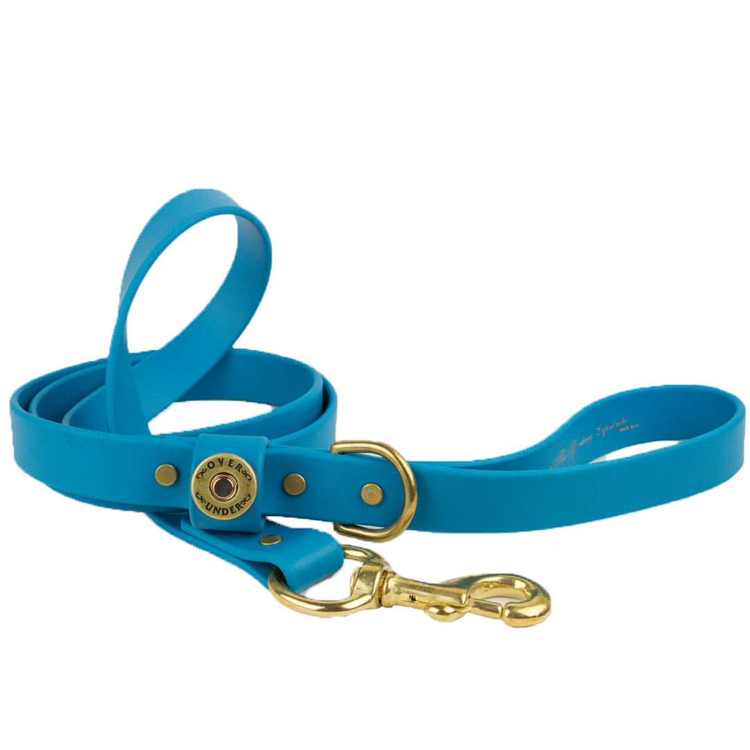 Water Dog Leash Aqua Blue - Over Under Clothing