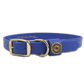 Water Dog Collar Cobalt Blue