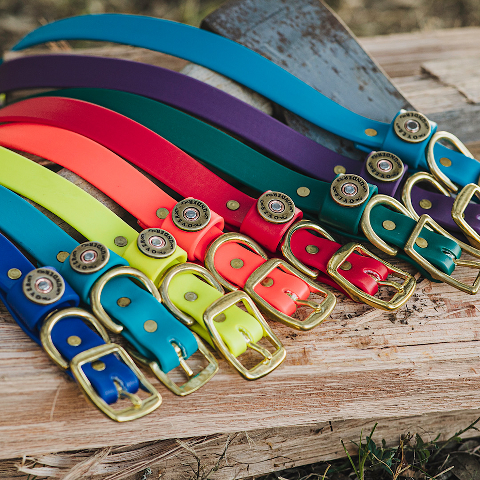 Water Dog Collar Aqua Blue Over Under Clothing