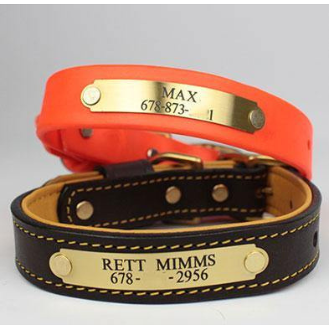 Water Dog Collar Blaze Orange